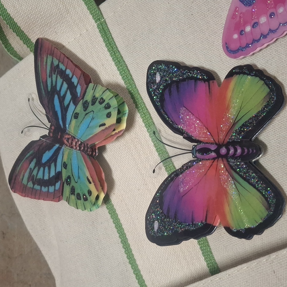 Set of Decorative Hand Crafted Accent Magnets